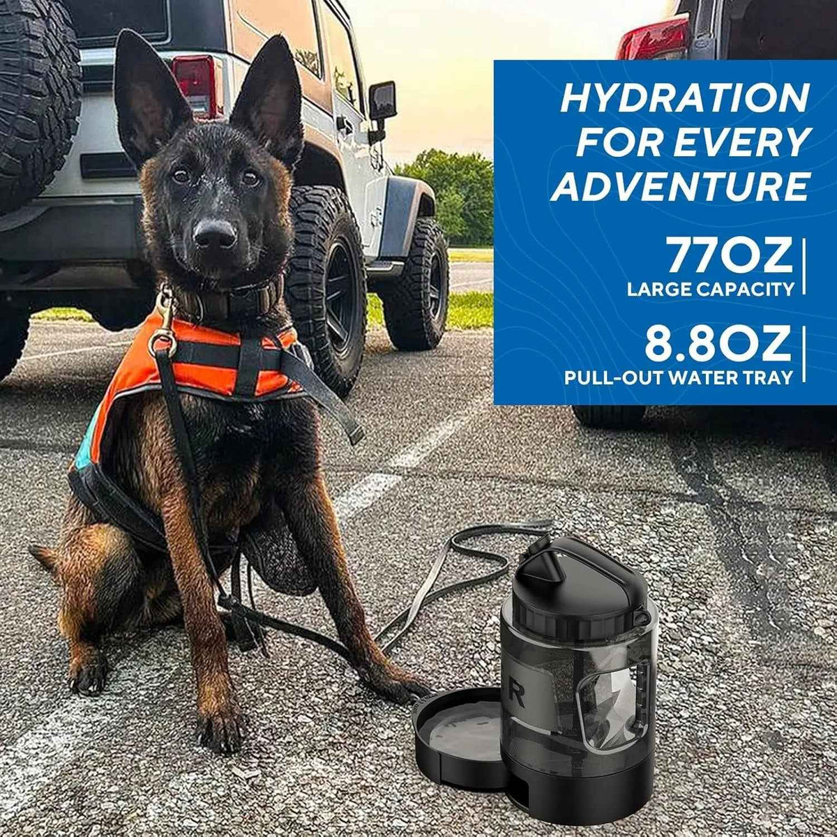 Portable Dog Travel Water Bottle with Bowl for Hiking