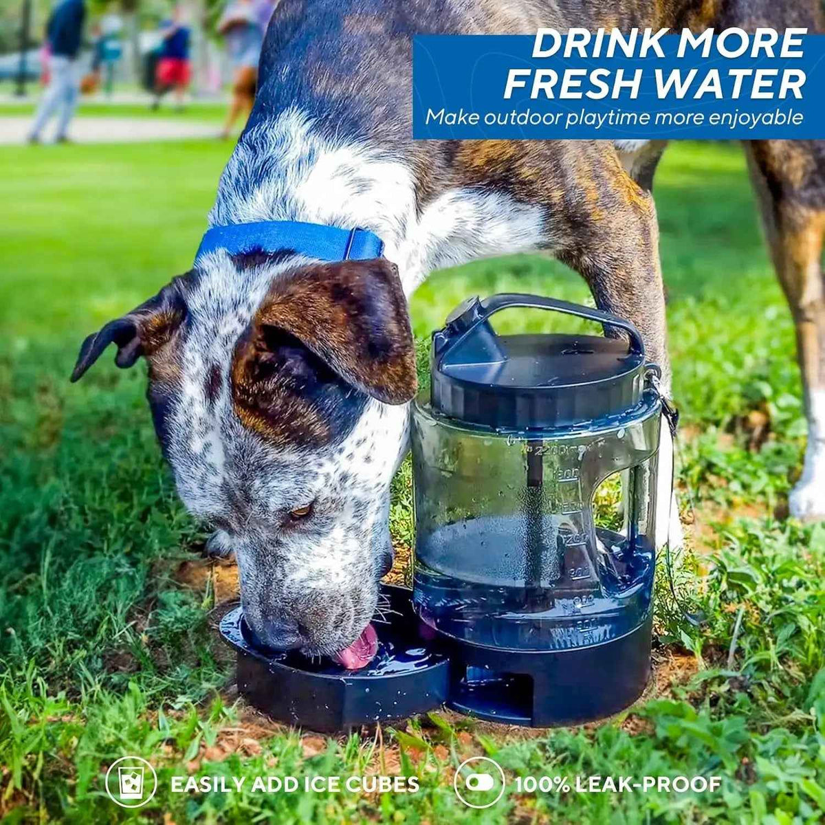 Portable Dog Travel Water Bottle with Bowl for Hiking