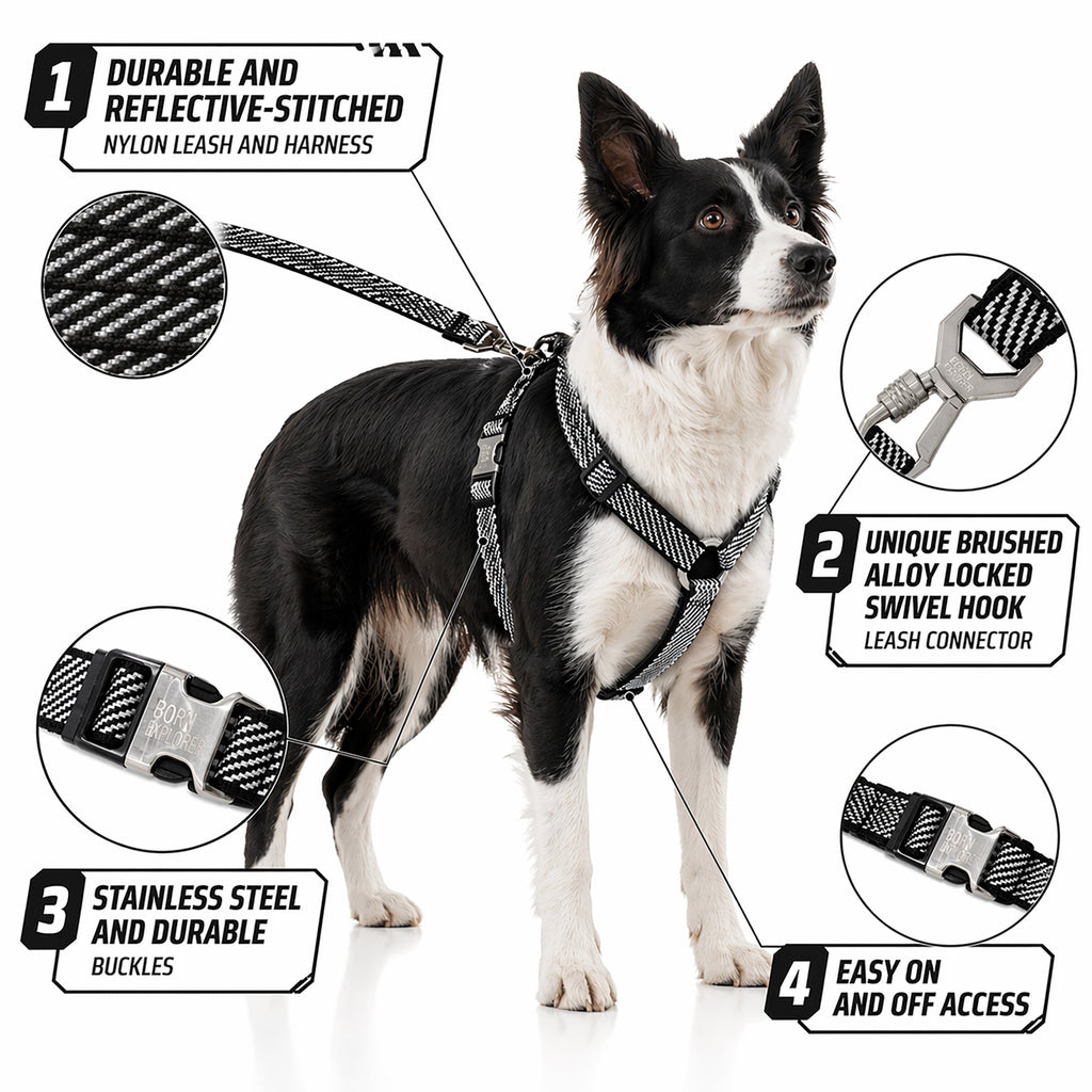 Pet Life ® 'Escapade' Outdoor Series 2-in-1 Convertible Dog Leash and Harness