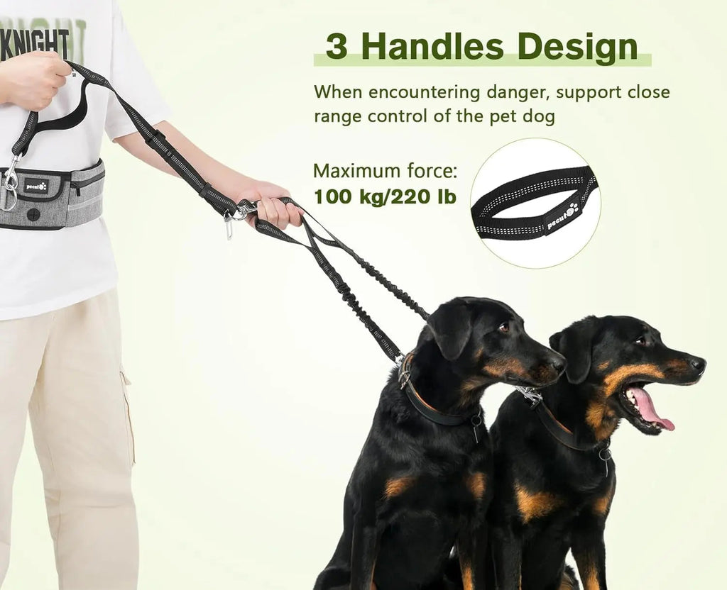 Hands Free Dog Leash Dual Bungee Adjustable Waist Belt Running Walking