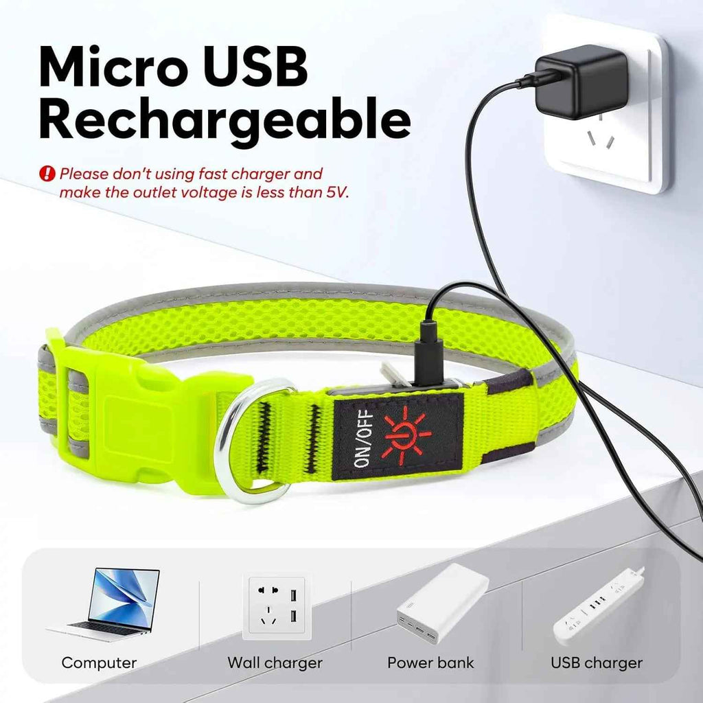 LED Dog Collar USB Rechargeable Light-Up Safety