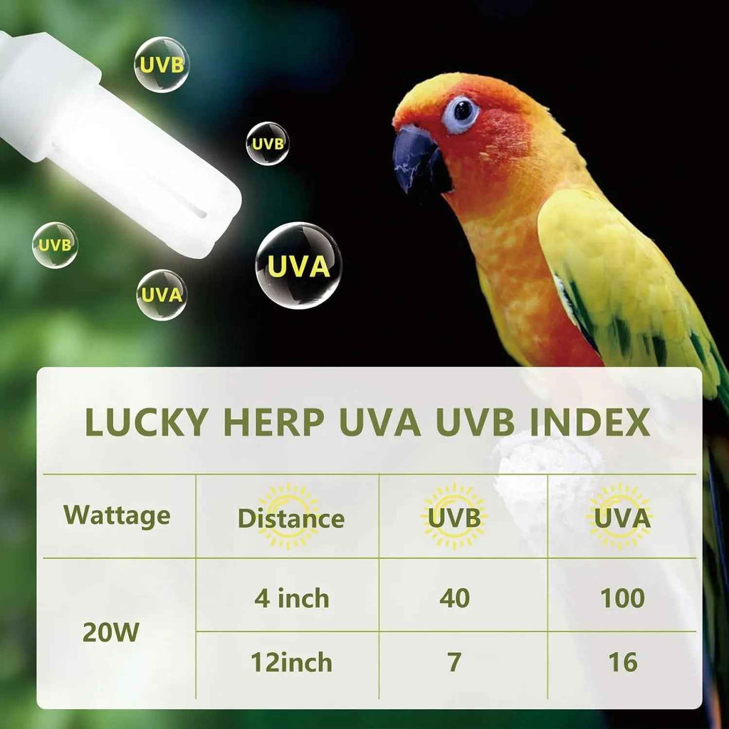 LUCKY HERP 20W UVA UVB Bird Bulb – Compact Fluorescent