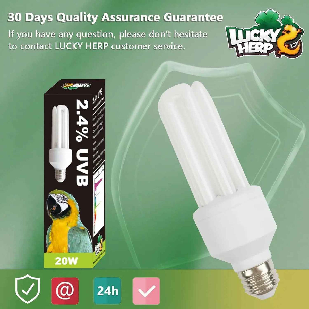 LUCKY HERP 20W UVA UVB Bird Bulb – Compact Fluorescent