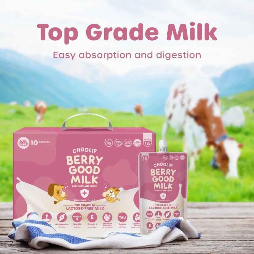 Lactose-Free Vitamin Milk for Cats & Dogs, 10-Pack