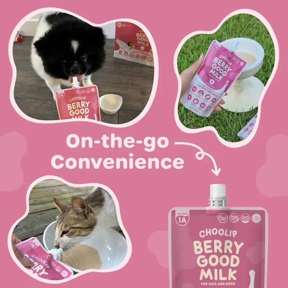 Lactose-Free Vitamin Milk for Cats & Dogs, 10-Pack