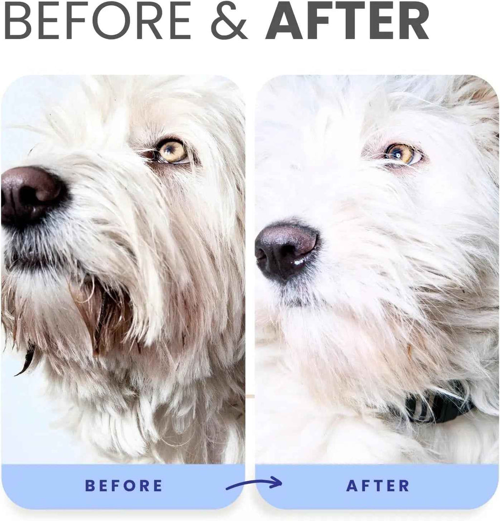 Lillian Ruff Berry Blue Brightening Dog Shampoo Set