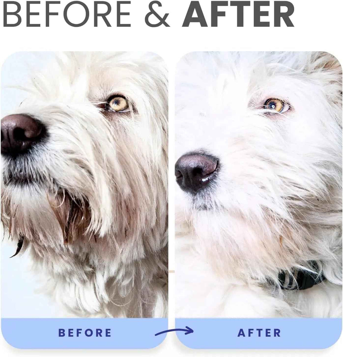 Lillian Ruff Berry Blue Brightening Dog Shampoo Set