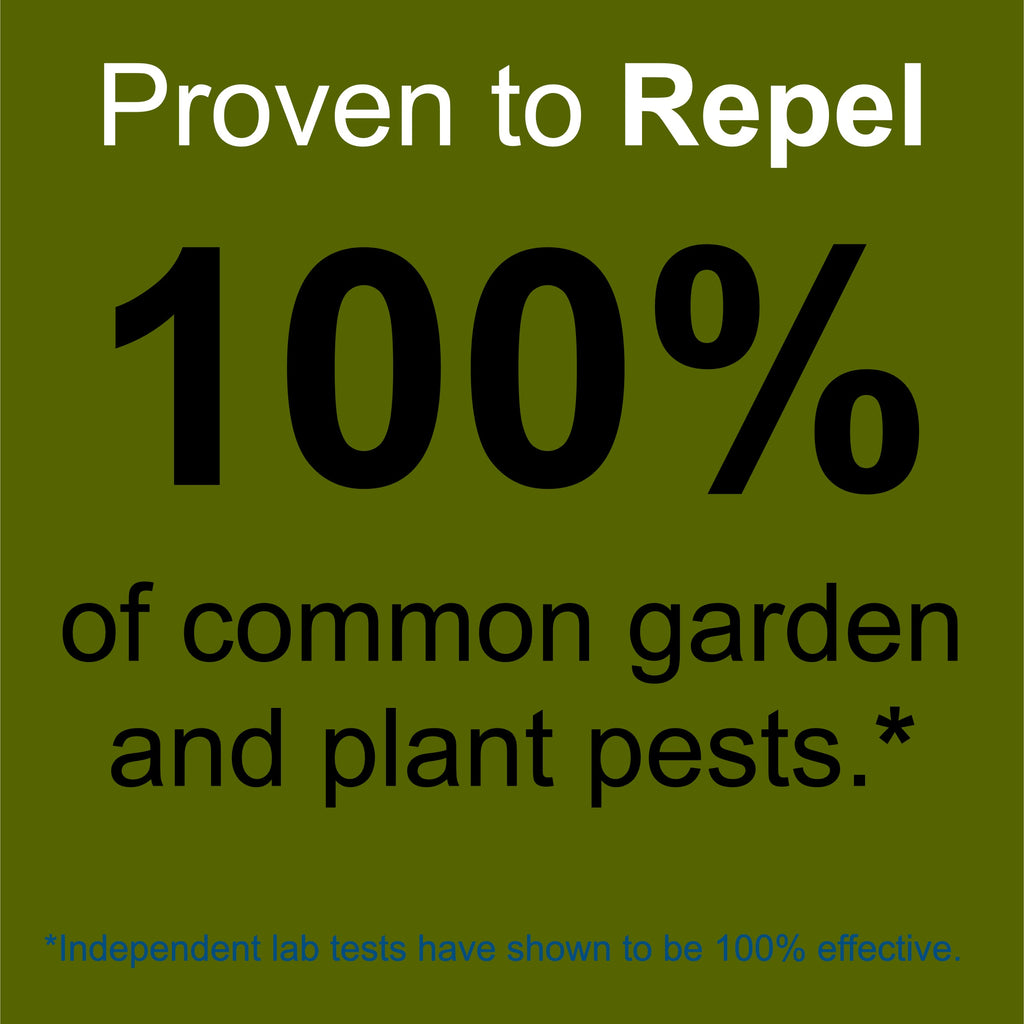 Plant and Garden Pest Control Spray - 32 oz | Plant Based Natural Non-Toxic | Premo Guard (C)