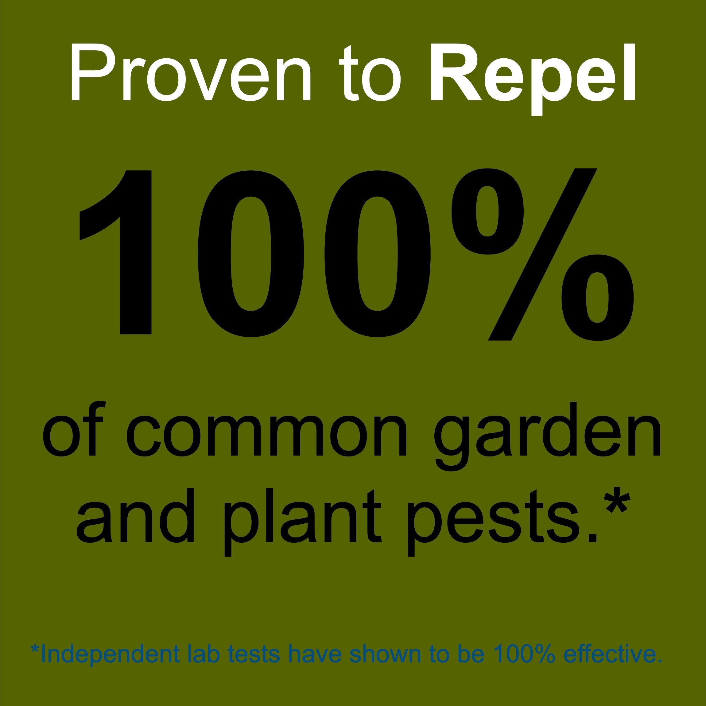 Plant and Garden Pest Control Spray - 32 oz | Plant Based Natural Non-Toxic | Premo Guard (C)