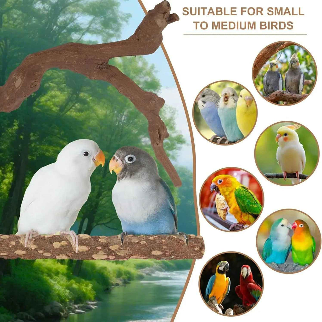 Natural Bird Perch Set – 6 Grapewood & Peppercorn Branches