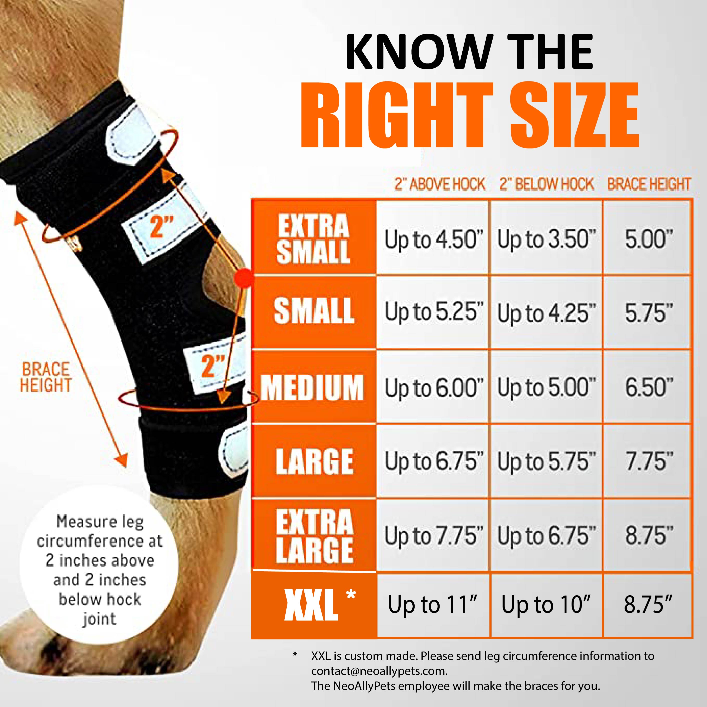 NeoAlly 3-in-1 Long Rear Leg Hock Brace - Rigid and Spring Inserts | Safety Reflective Straps [Long Version] (Pair)