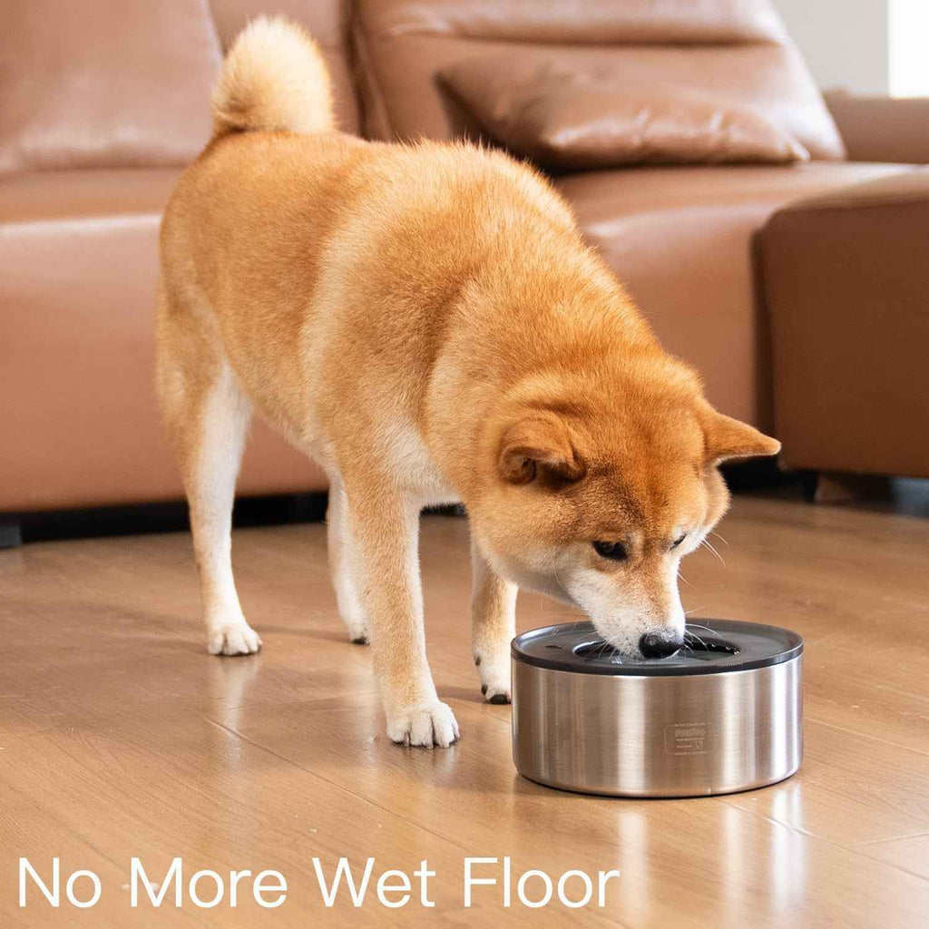 No Spill Dog Water Bowl 1 Gallon Stainless Steel Slow Feeder