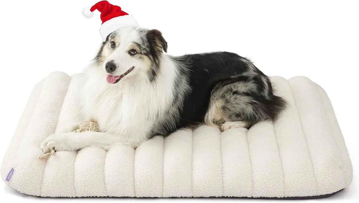 Orthopedic Dog Bed – Waterproof Plush, Washable Cover