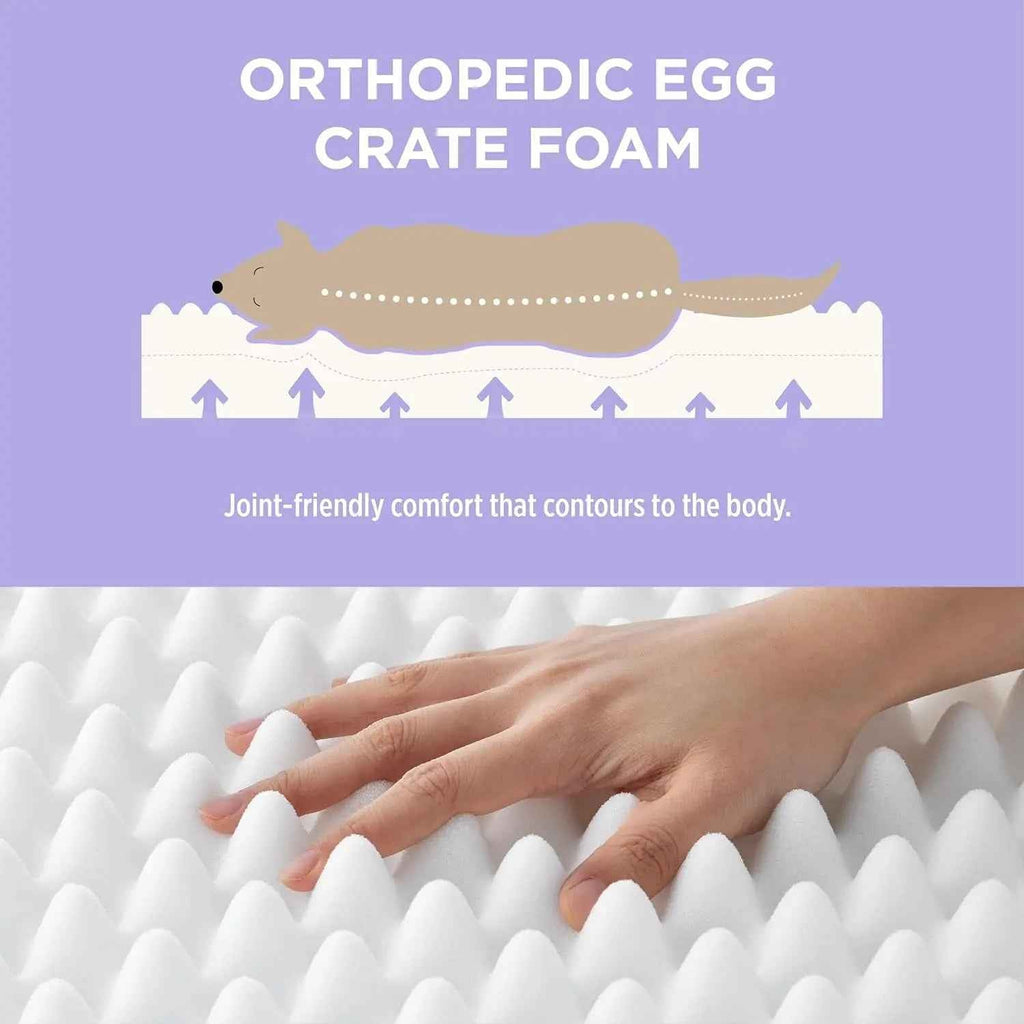 Orthopedic Dog Bed – Waterproof Plush, Washable Cover