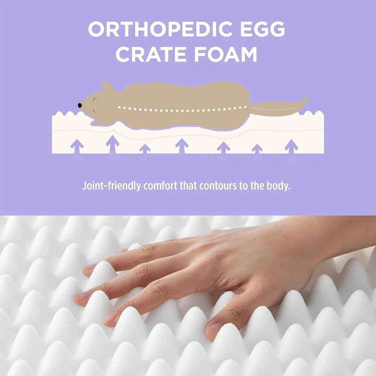 Orthopedic Dog Bed – Waterproof Plush, Washable Cover