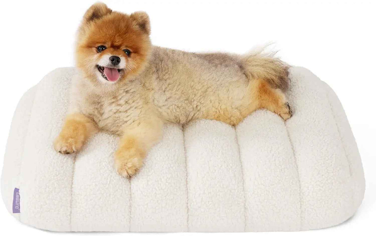 Orthopedic Dog Bed – Waterproof Plush, Washable Cover
