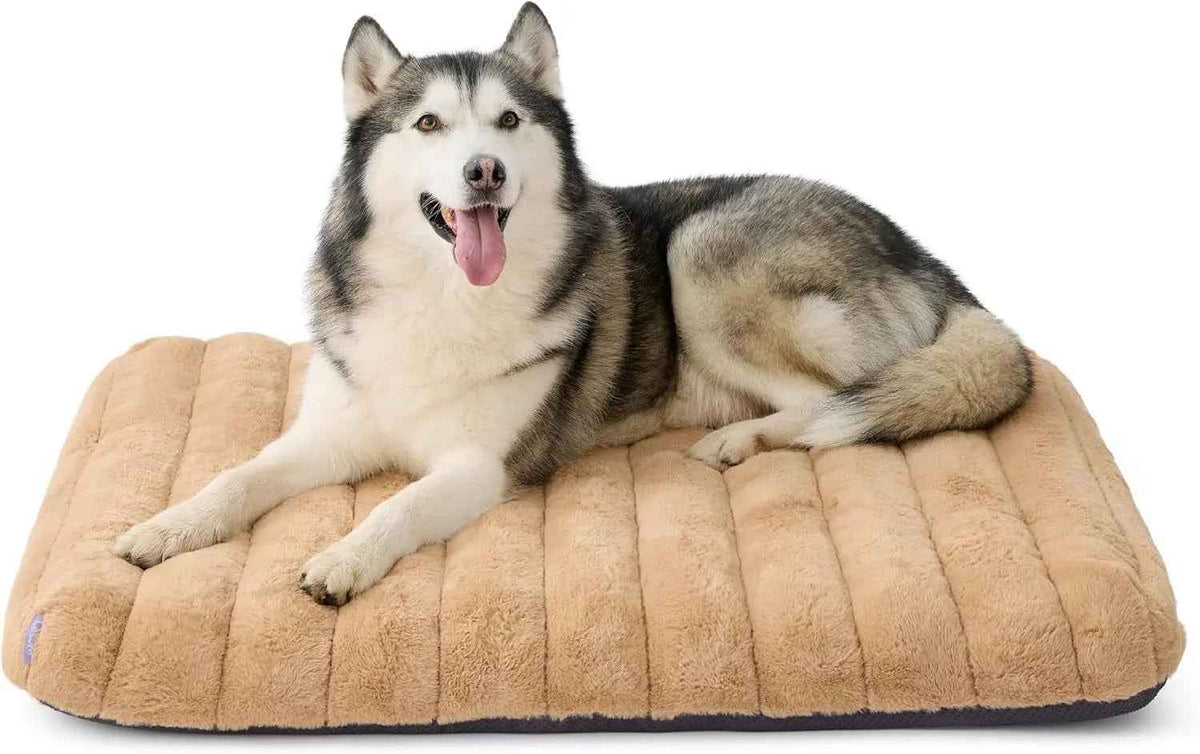 Orthopedic Dog Bed – Waterproof Plush, Washable Cover