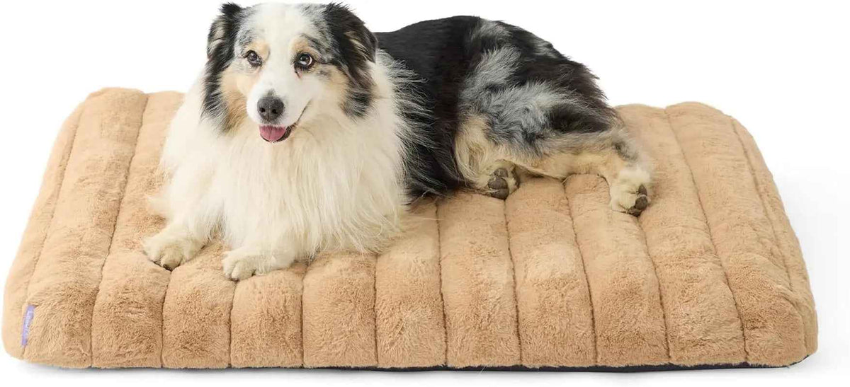 Orthopedic Dog Bed – Waterproof Plush, Washable Cover