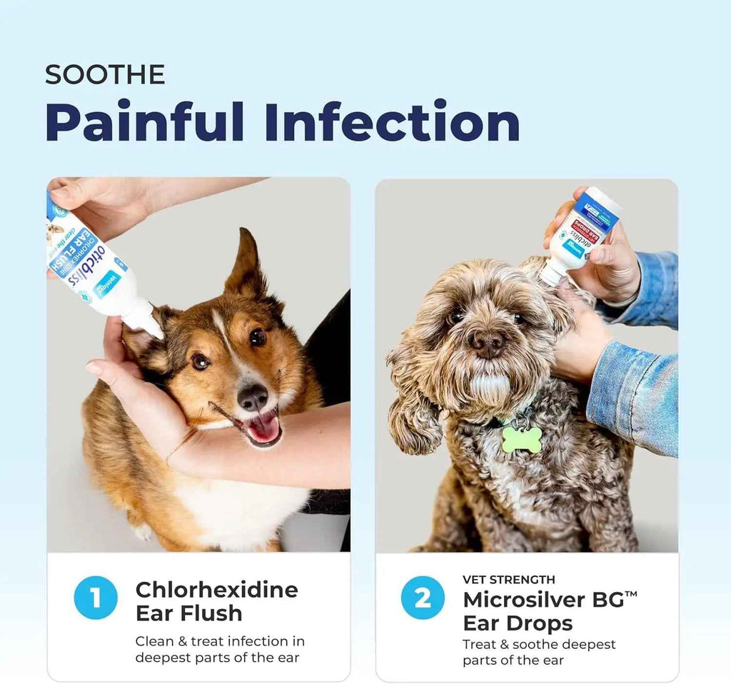 Oticbliss Cat & Dog Ear Infection Drops – MicroSilver & Hydrocortisone Relief