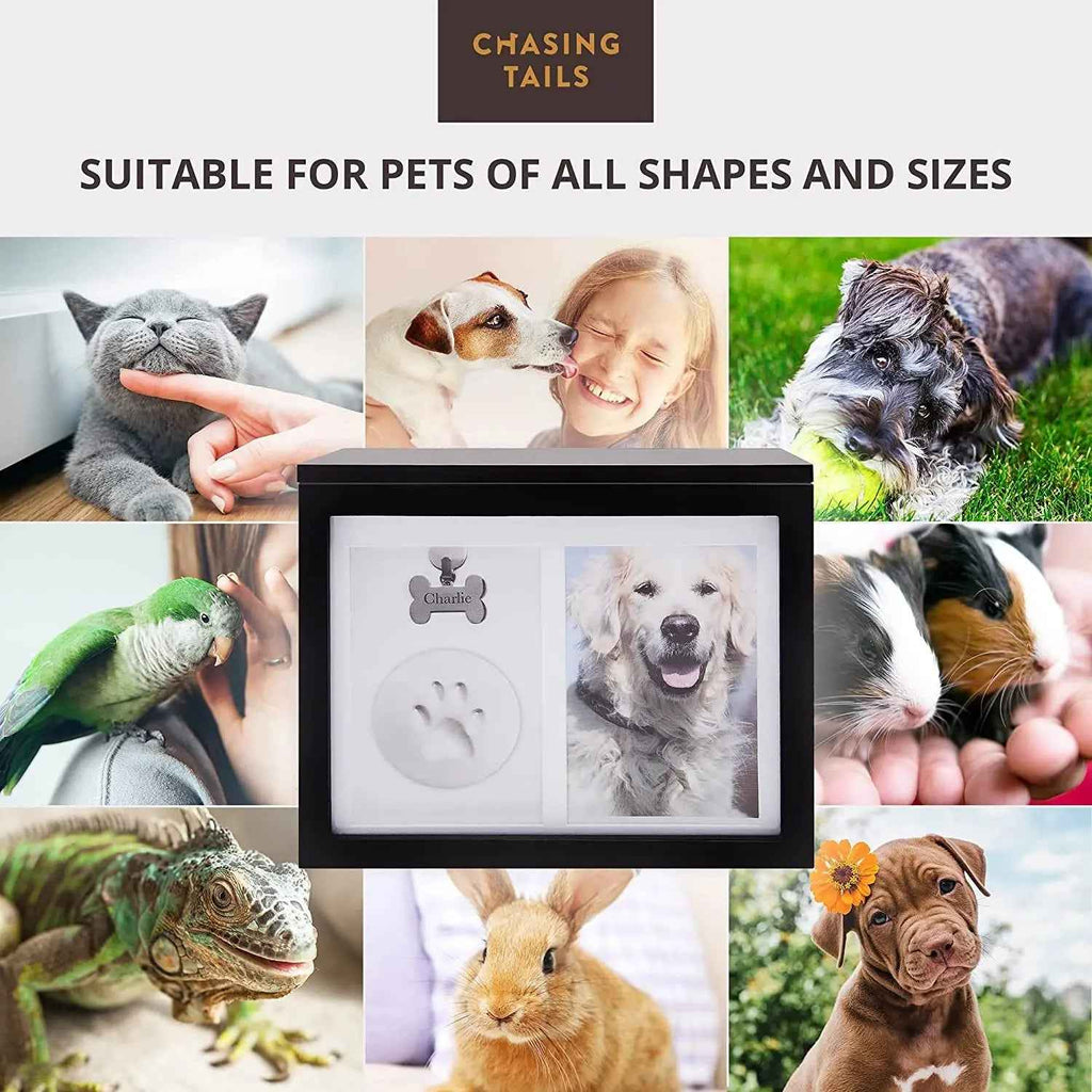Pet Memorial Urn with Photo Frame – Paw Kit & Album