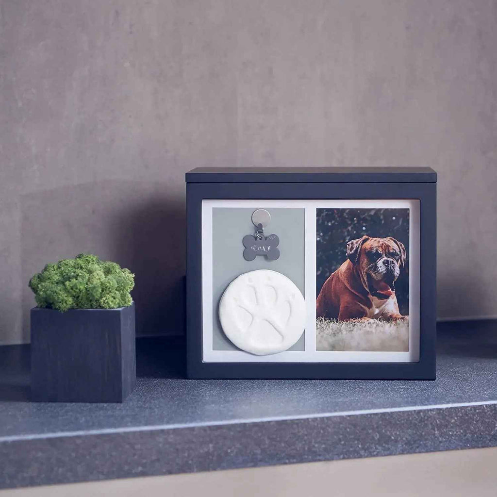 Pet Memorial Urn with Photo Frame – Paw Kit & Album