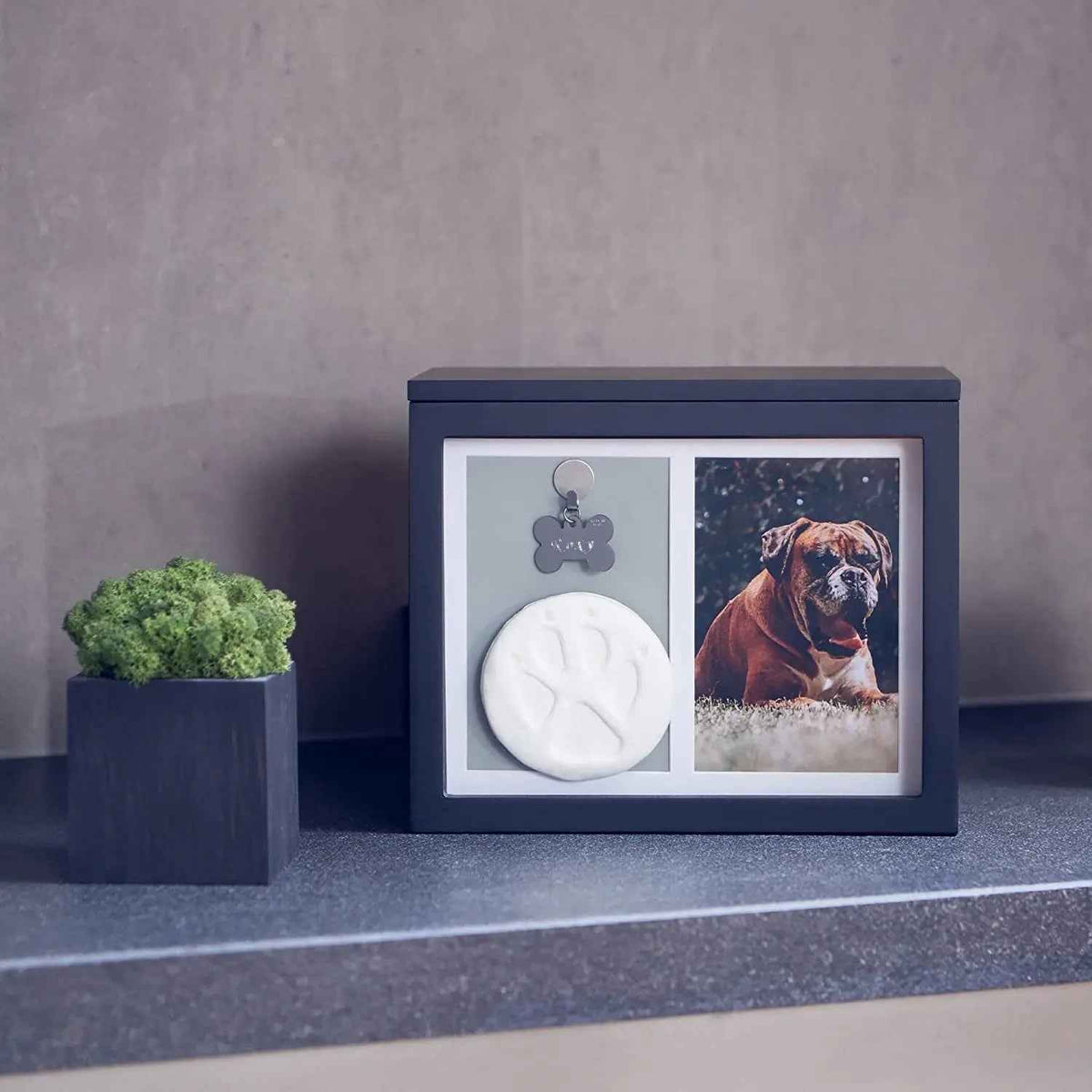 Pet Memorial Urn with Photo Frame – Paw Kit & Album