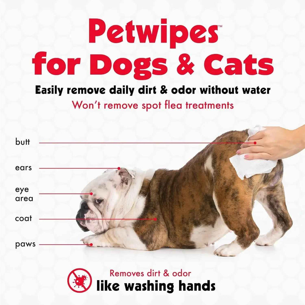 Pet Wipes for Dogs & Cats, 100 Large Grooming Wipes