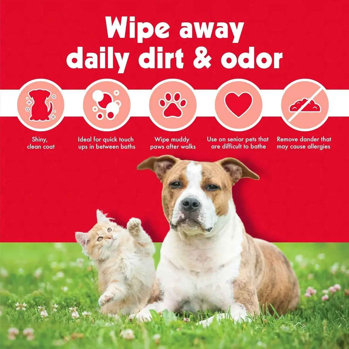 Pet Wipes for Dogs & Cats, 100 Large Grooming Wipes