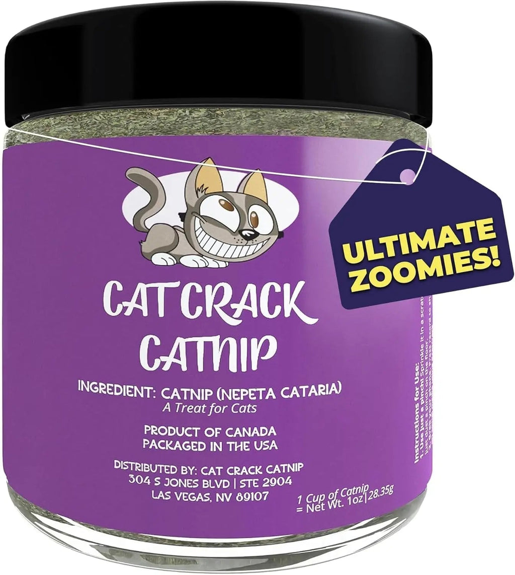 Premium Natural Catnip Blend for Cats Training, Toys & Playtime Stimulation