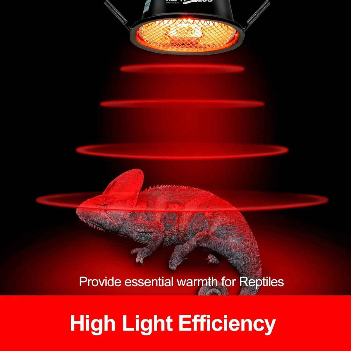 G9 Reptile Infrared Heat Lamp Kit 50W UVA Basking Light Hood