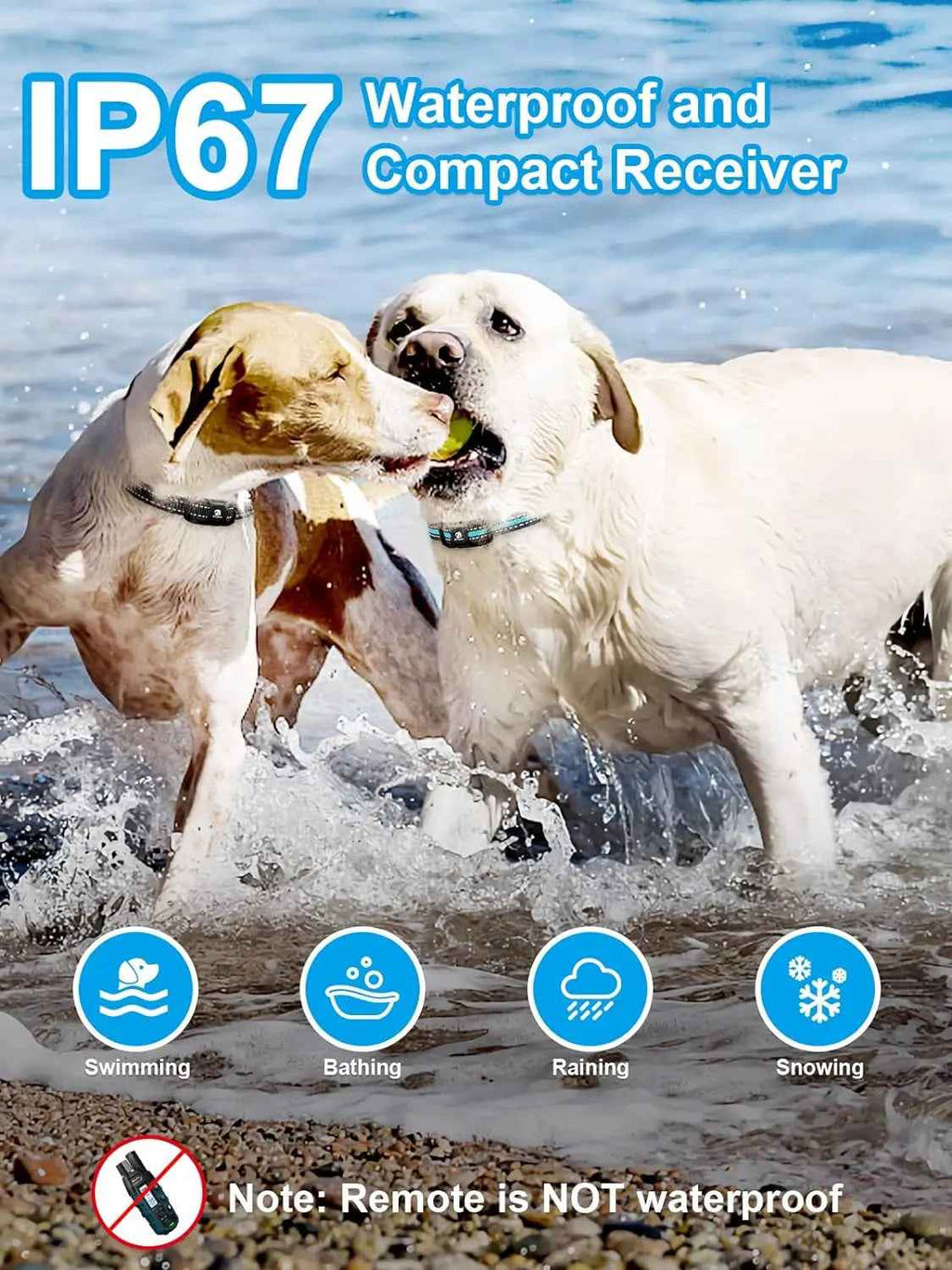 Waterproof Training Collar – 3300ft, Rechargeable, 2 Dogs