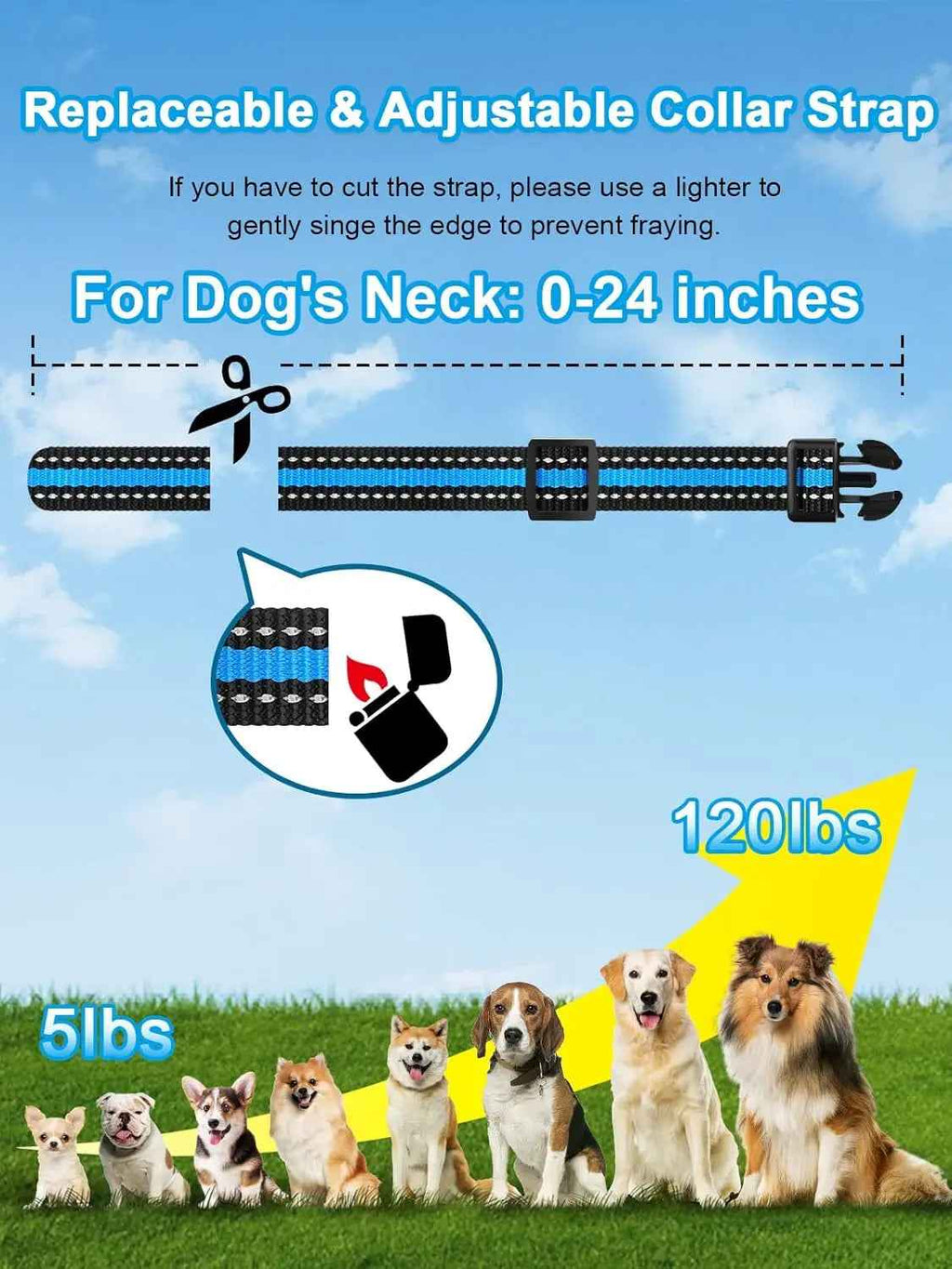 Waterproof Training Collar – 3300ft, Rechargeable, 2 Dogs
