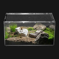 Reptile Terrarium Starter Kit – Spiders, Geckos, Insects