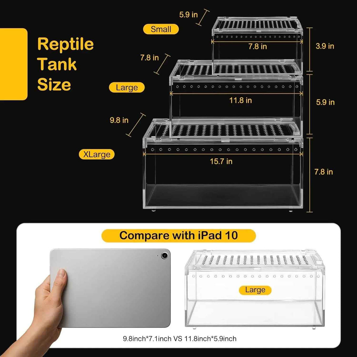 Reptile Terrarium Starter Kit – Spiders, Geckos, Insects
