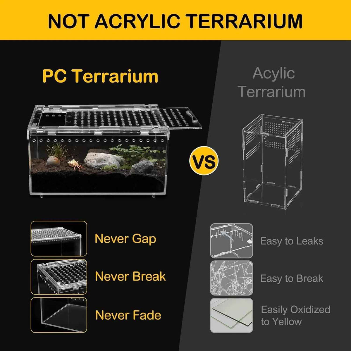 Reptile Terrarium Starter Kit – Spiders, Geckos, Insects