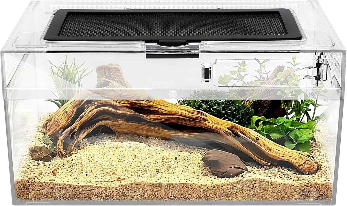Reptile Terrarium Starter Kit – Spiders, Geckos, Insects