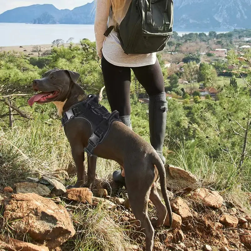 No Pull Dog Harness with Locator Silicone Protective Cover Anti slip Adjustable Pet Chest Harness for Medium & Large Dogs