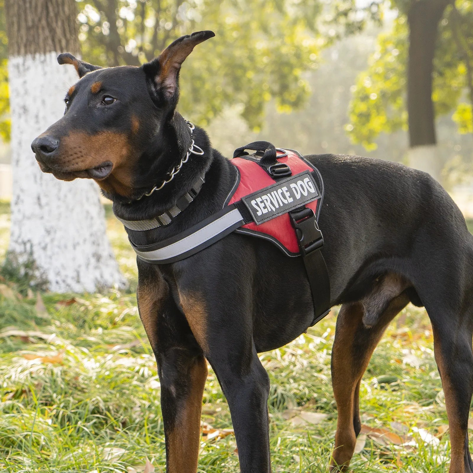 Chest Strap Dog Vest Harness Medium and Large Dog Border Collie Golden Hair Bucket Explosion proof Flushing Dog Harness