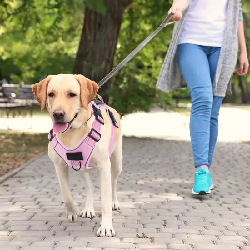 No Pull Dog Harness with Locator Silicone Protective Cover Anti slip Adjustable Pet Chest Harness for Medium & Large Dogs