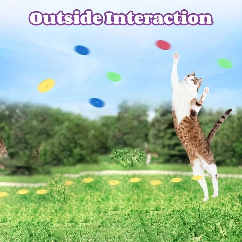 Cat Dog Toy with Colorful Flying Discs Set, Pet Toy Gun Launcher Interactive Toys for Kitten Indoor & Outdoor Training Chasing