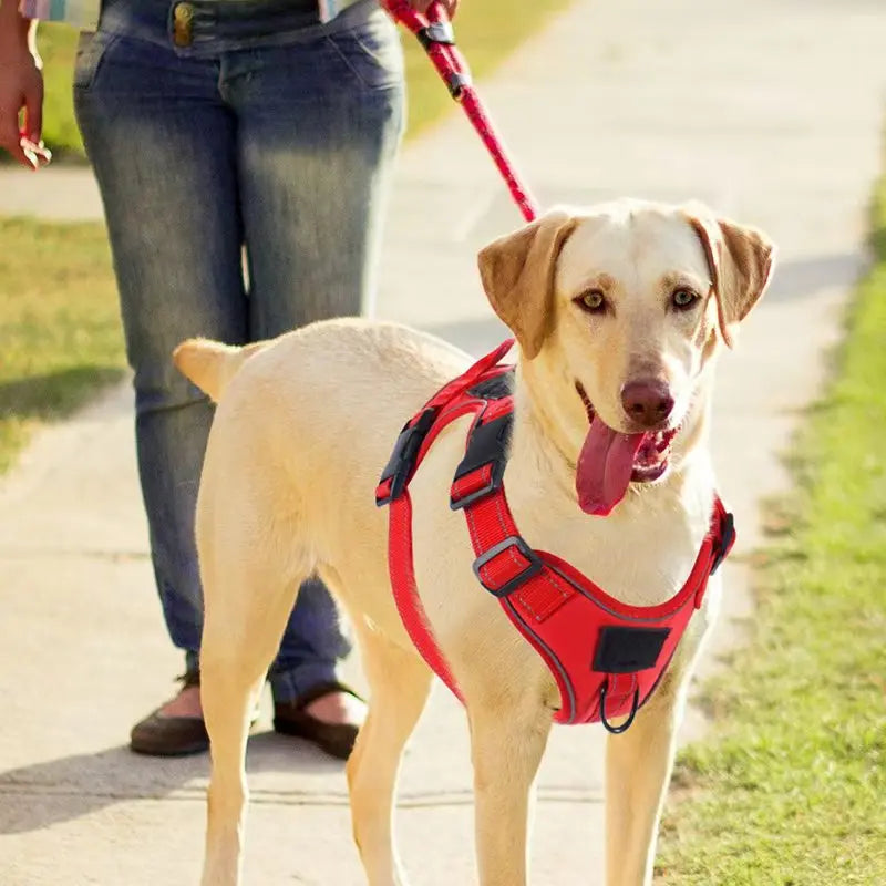 No Pull Dog Harness with Locator Silicone Protective Cover Anti slip Adjustable Pet Chest Harness for Medium & Large Dogs