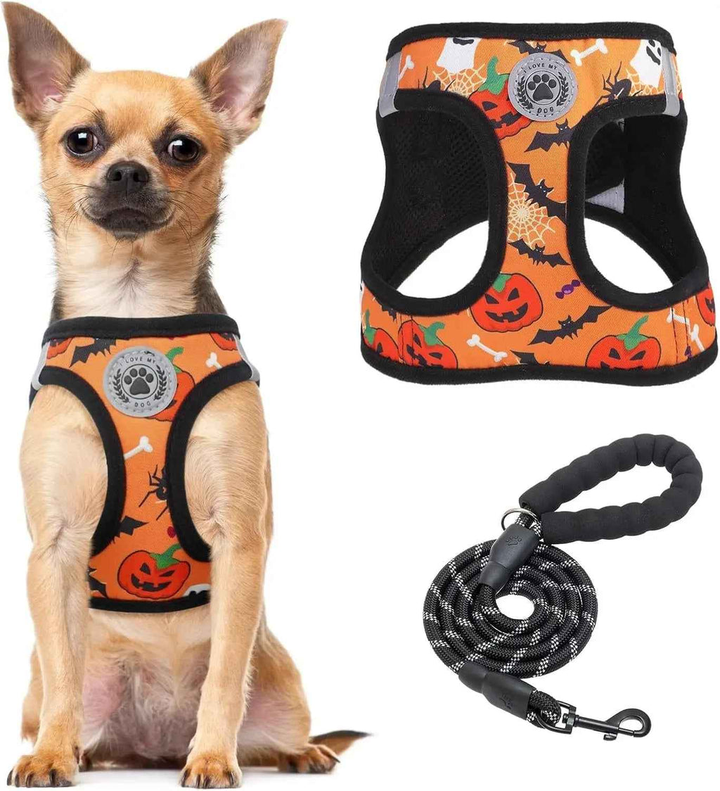 Step-In Harness & Leash Set – Printed Mesh, Puppies & Cats