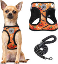 Step-In Harness & Leash Set – Printed Mesh, Puppies & Cats