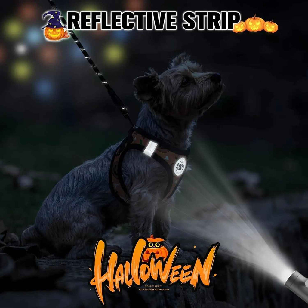 Step-In Harness & Leash Set – Printed Mesh, Puppies & Cats