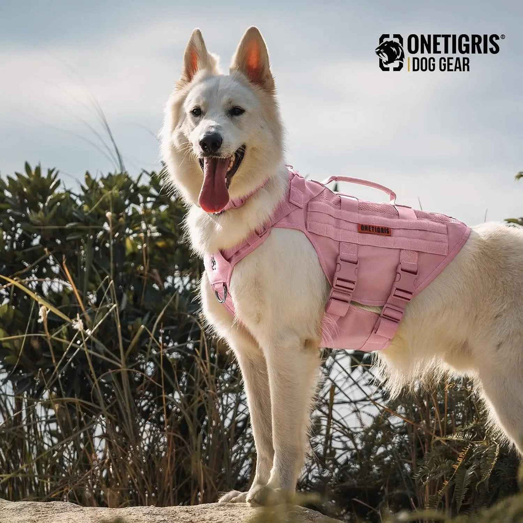 1000D Nylon Tactical Dog Harness – Dual Grab Handles