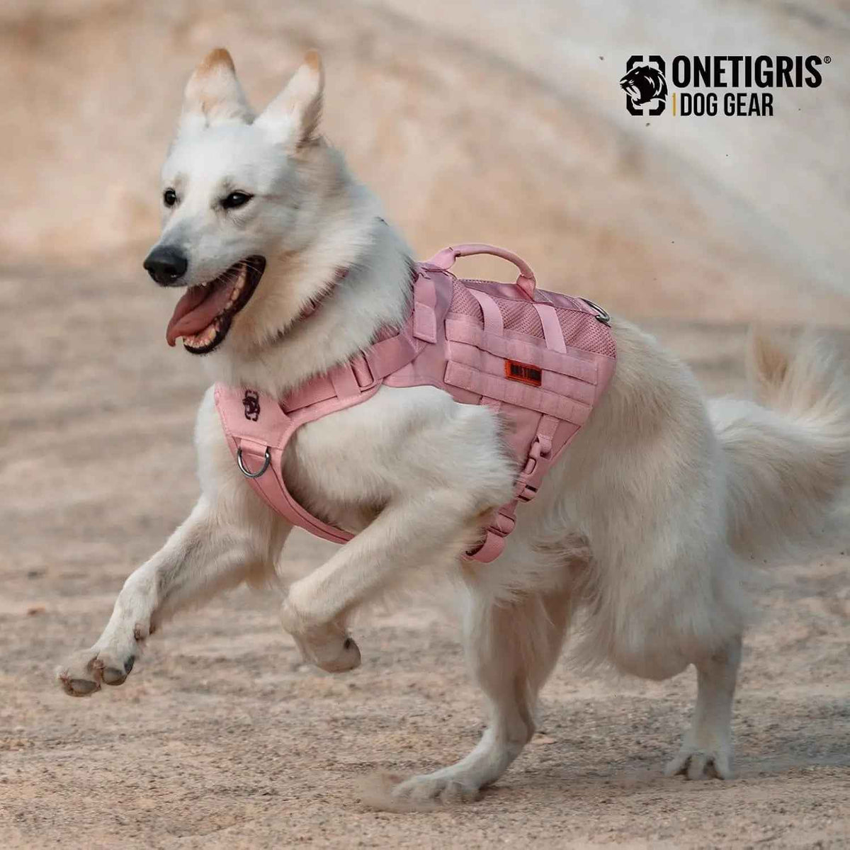 1000D Nylon Tactical Dog Harness – Dual Grab Handles
