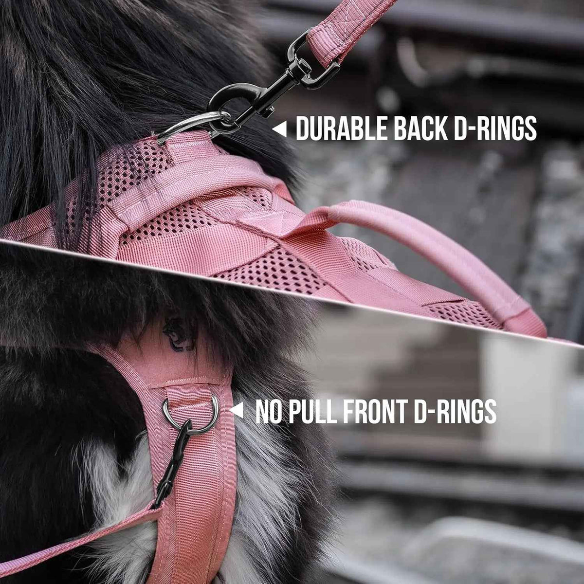 1000D Nylon Tactical Dog Harness – Dual Grab Handles