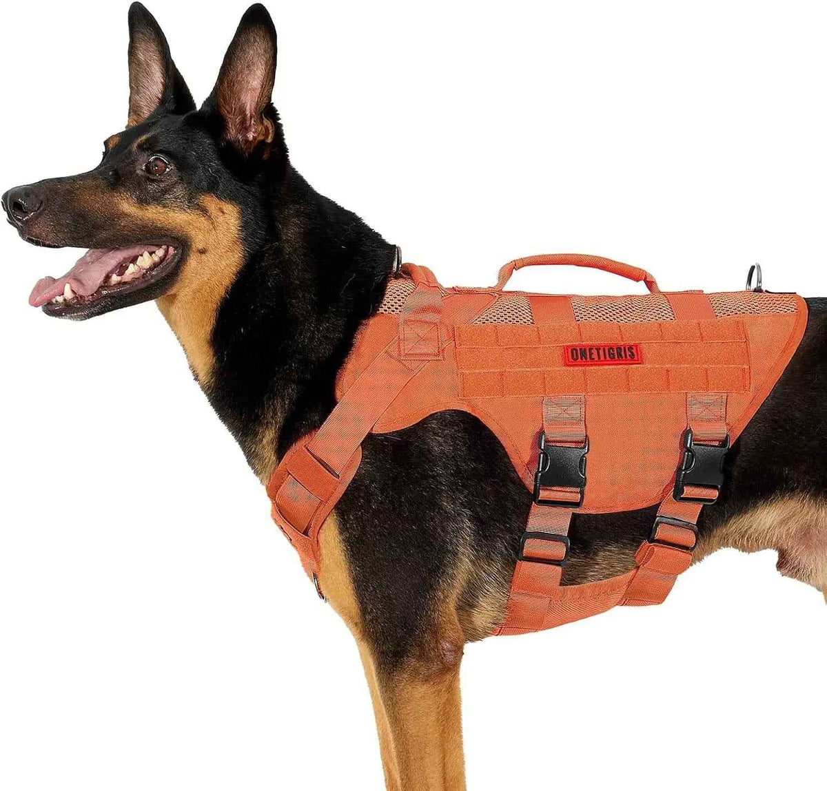 1000D Nylon Tactical Dog Harness – Dual Grab Handles