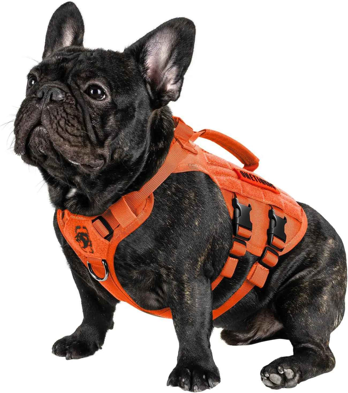 1000D Nylon Tactical Dog Harness – Dual Grab Handles