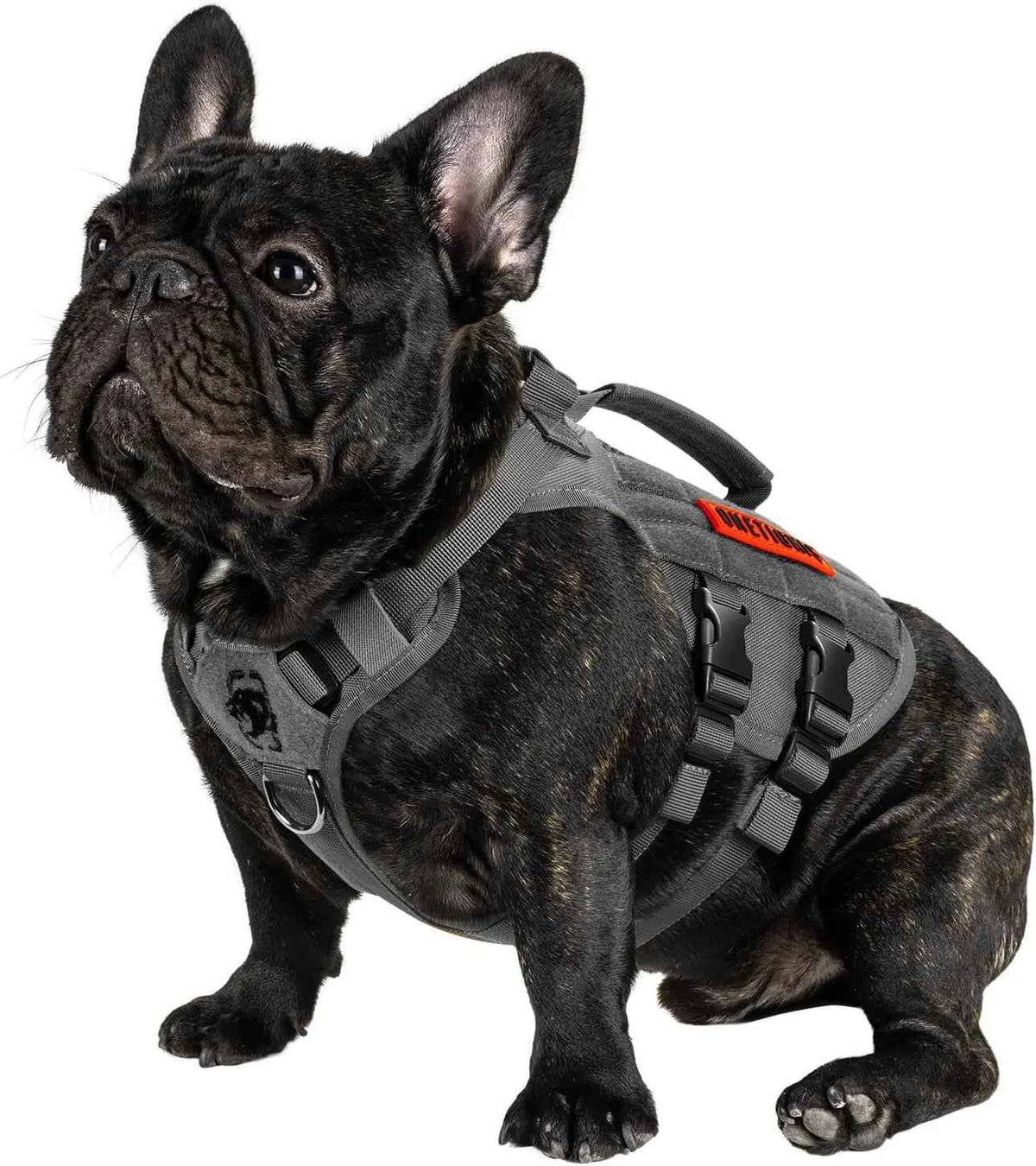 1000D Nylon Tactical Dog Harness – Dual Grab Handles